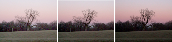 Different Film Exposures that will all work for Film Photography