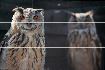 Rule of Thirds