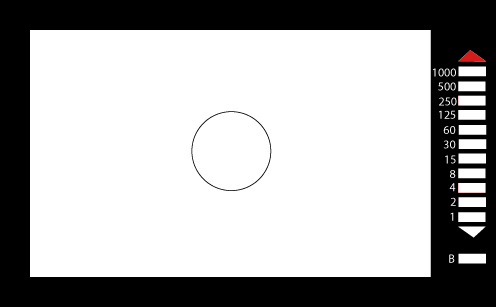 Through the lens light meter arrows